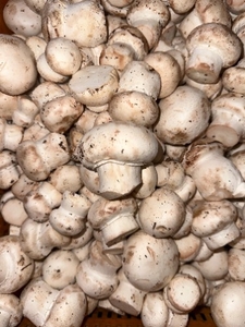 படம் 2