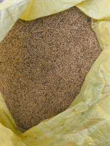 ധൻ
