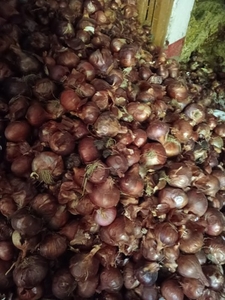 ಫೋಟೋ 2
