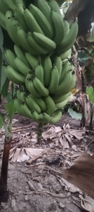 ಫೋಟೋ 2