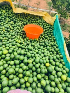 படம் 2
