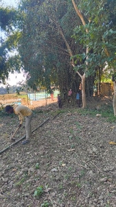 ഫോട്ടോ 2