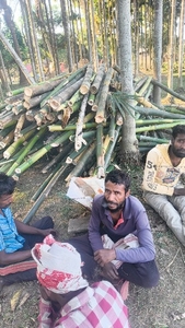 ഫോട്ടോ 3