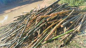 ഫോട്ടോ 4