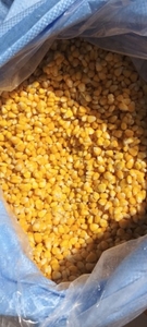 ഫോട്ടോ 2