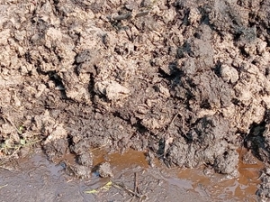 ഫോട്ടോ 2