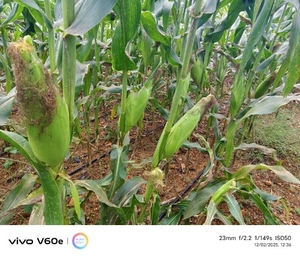 ఫోటో 2