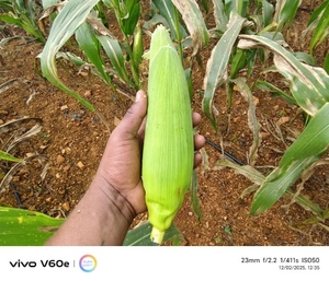 ఫోటో 4