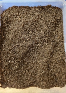 மாட்டு சாணம்