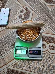 మాకా
