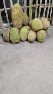 ഫോട്ടോ 2