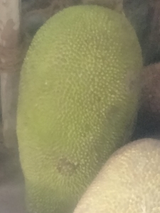 ഫോട്ടോ 3