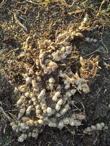 ഫോട്ടോ 3