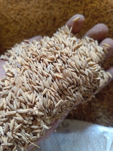 ధన్