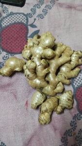 ഇഞ്ചി
