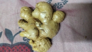 ഫോട്ടോ 2