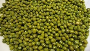 మూంగ్
