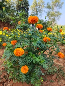 ಫೋಟೋ 2