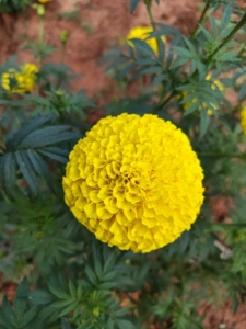ಫೋಟೋ 3
