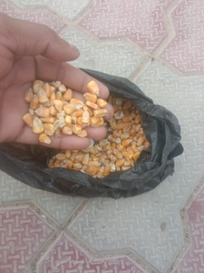 படம் 2