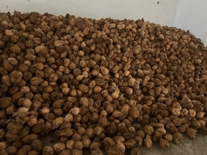 ഫോട്ടോ 2