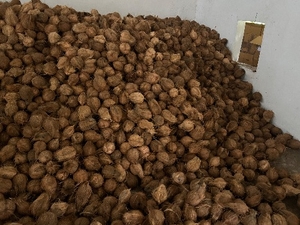 ഫോട്ടോ 3