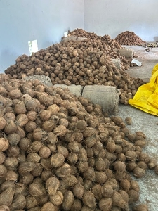 ഫോട്ടോ 4