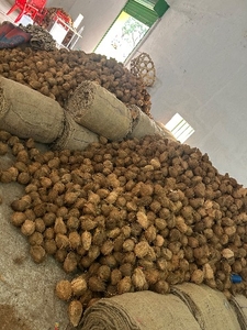 ഫോട്ടോ 5
