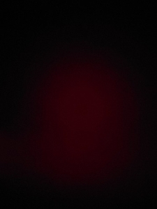 టర్