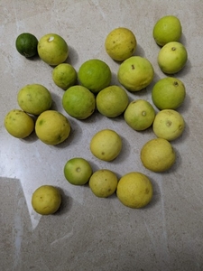 ನಿಂಬೆಹಣ್ಣು
