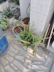 ఫోటో 3