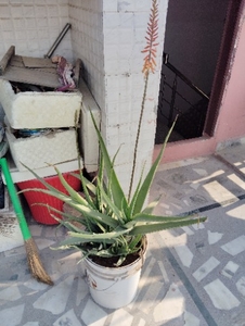 ఫోటో 4