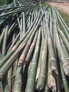 படம் 2