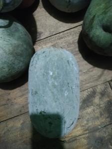 Wax guard