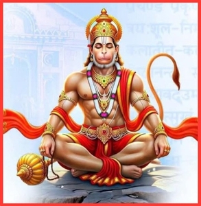 వరి