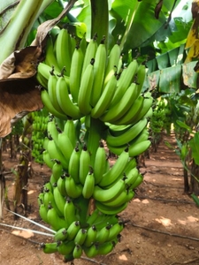 ഫോട്ടോ 2