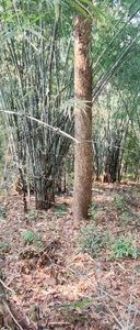 ಫೋಟೋ 3