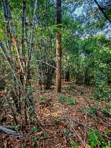 ಫೋಟೋ 4