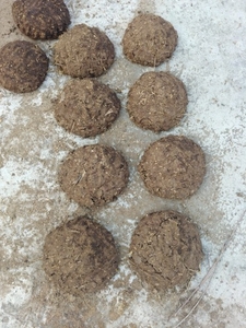 ಹಸುವಿನ ಸಗಣಿ ಕೇಕ್