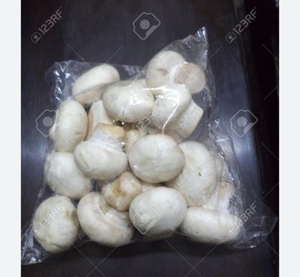 ബട്ടൺ മഷ്റൂം