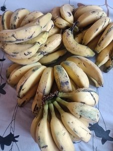 అరటిపండు