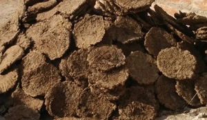 उपला