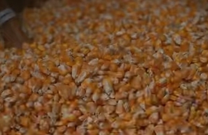 ഫോട്ടോ 2