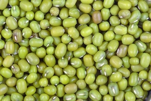 ഫോട്ടോ 2