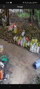 ತೆಂಗಿನಕಾಯಿ