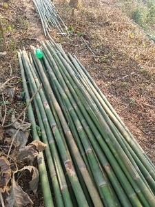 ఫోటో 2
