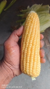 ಫೋಟೋ 3