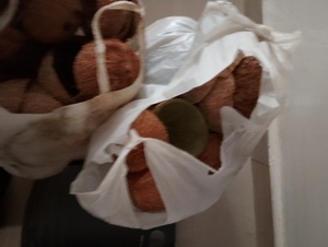 ఫోటో 2