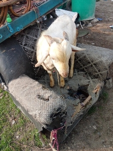 ഫോട്ടോ 2