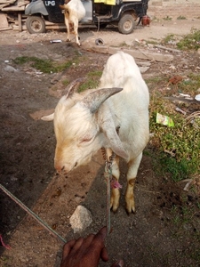 ഫോട്ടോ 3